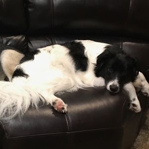 Meet your Posher, Tim